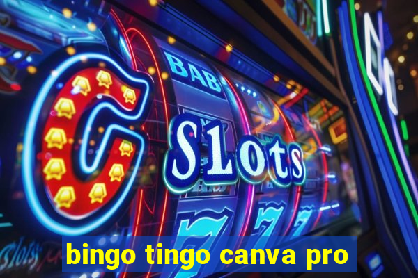 bingo tingo canva pro